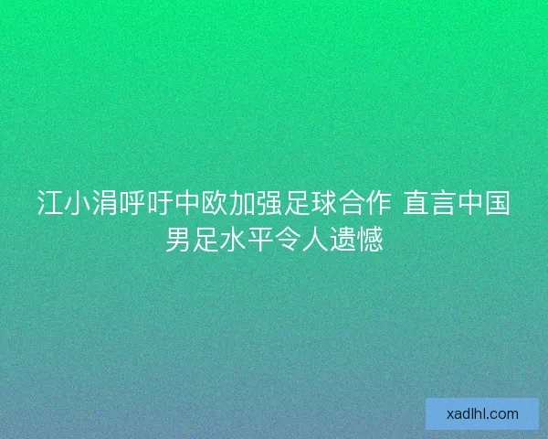 江小涓呼吁中欧加强足球合作 直言中国男足水平令人遗憾